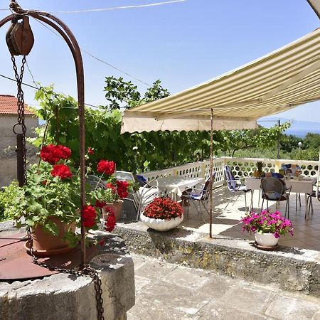 Guest House Tom Малинска Екстериор снимка