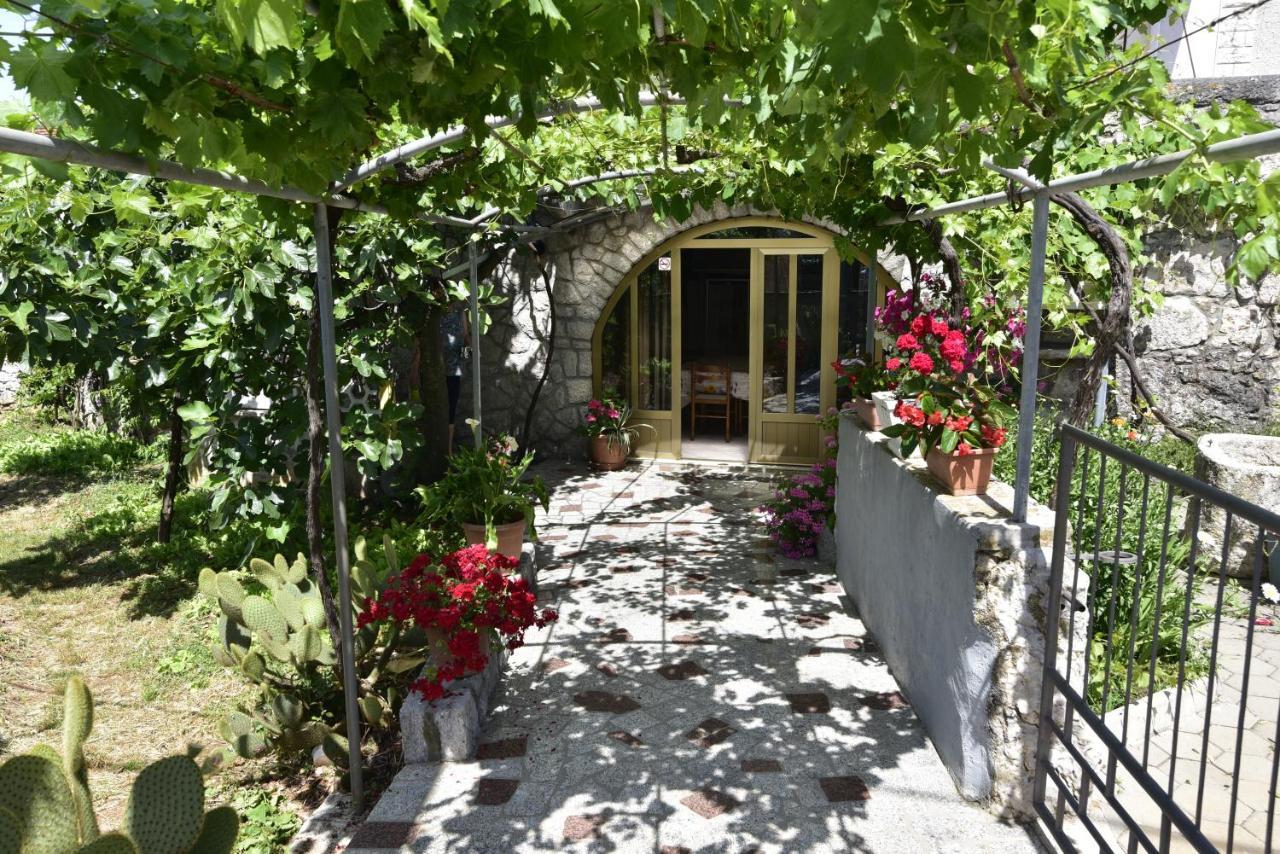 Guest House Tom Малинска Екстериор снимка